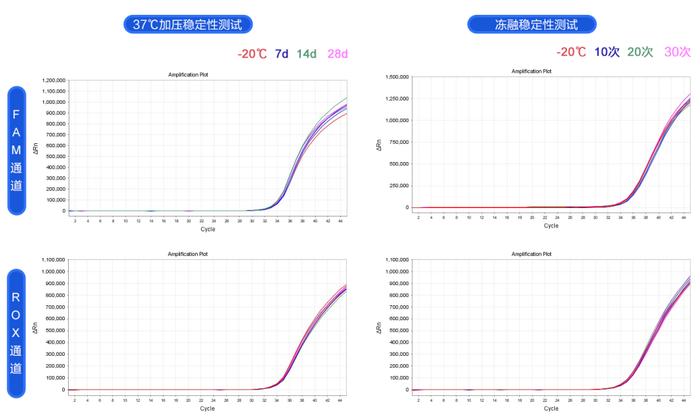 精品推荐 | 一步加样即收工——qPCR高性能全预混试剂强势出圈