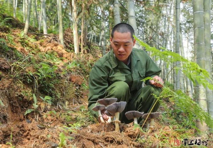 聚力强县促镇带村 打造苏区融湾示范！蕉岭县镇村三级联动一体推进，奋力推动“百千万工程”落地见效