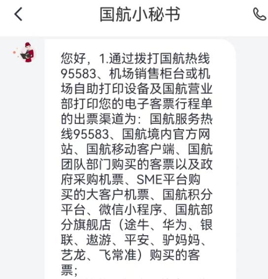 郁闷！“飞猪国航旗舰店”买的机票，咋不能直接打印行程单？