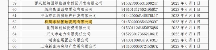 连续5个月商票持续逾期  柳州东城置地发展有限公司被公示