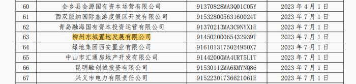 连续5个月商票持续逾期  柳州东城置地发展有限公司被公示