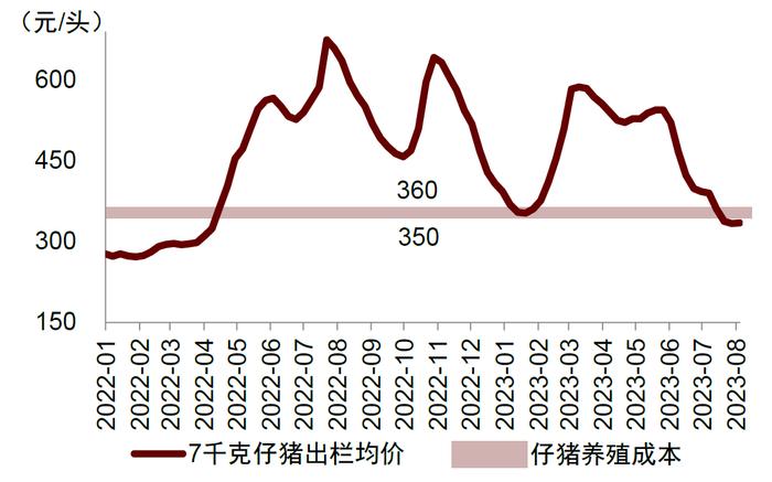 中金 | 畜禽养殖专题二：如何理解本轮产能去化节奏慢于预期？