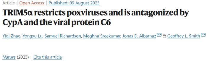 Nature | 靶向蛋白CypA的药物有望治疗包括猴痘病毒和天花病毒在内的一系列痘病毒