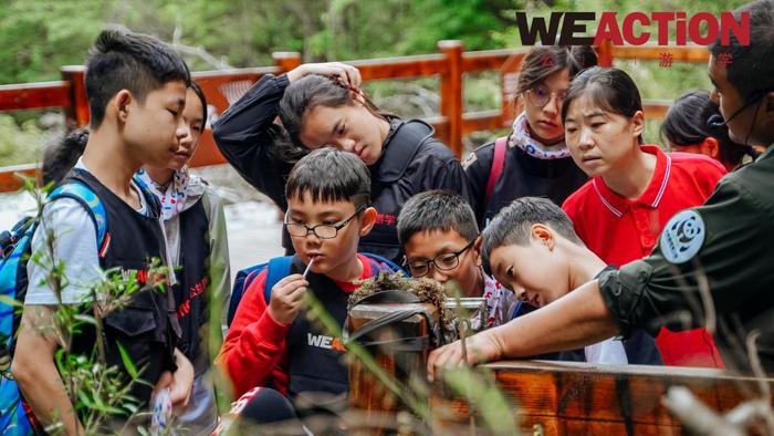 WEACTION公益游学｜14位熊猫义工的动物保护之旅