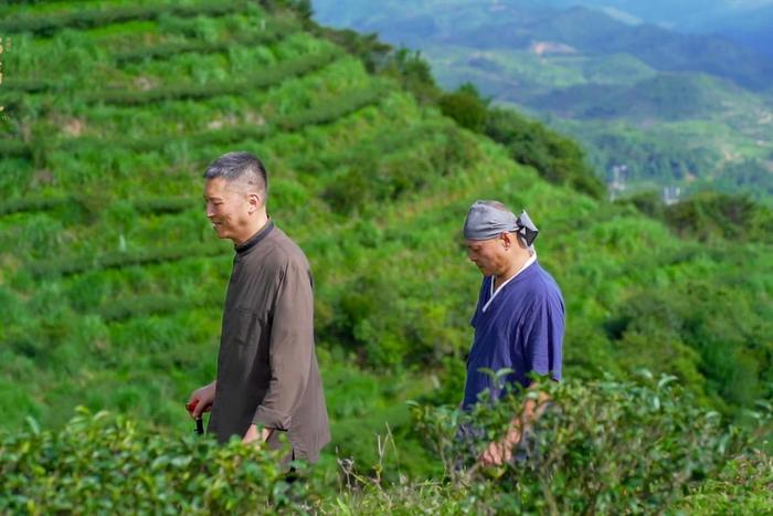 百年台湾郑福星，只为让大众喝上真正的台湾好茶