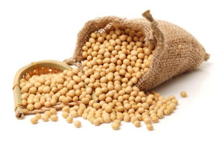 发生了什么？豆粕期货价格8连阳，美国农业部8月供需报告成焦点
