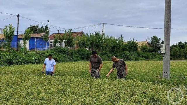 洪水过后的吉林舒兰：水毁路段已全部贯通，灾后复产工作已展开