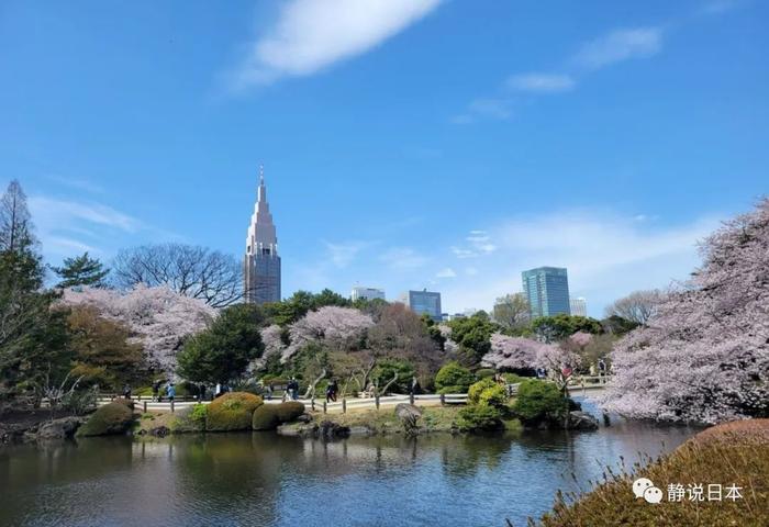 日本十大名胜之地，你去过几个？