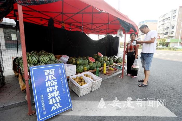 本地市场难觅本地西瓜品牌化早上市大棚种是出路