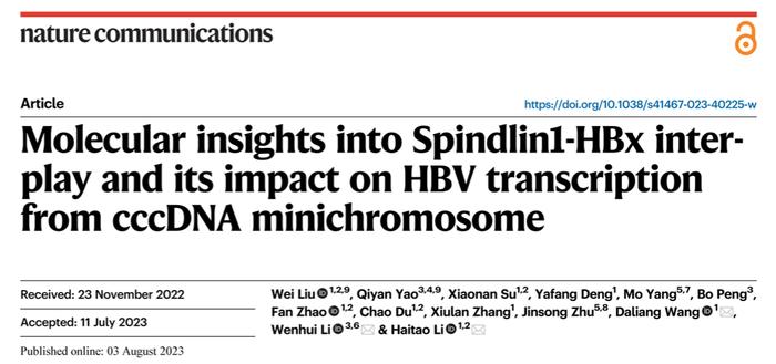 Nature子刊 | 李海涛/李文辉/王大亮揭示Spindlin1-HBx互作调控乙肝病毒微染色体状态切换与转录活化的表观机制