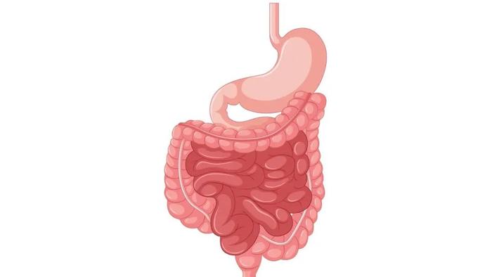 反流性食管炎像感冒，扛扛就能好？医生：拖不得