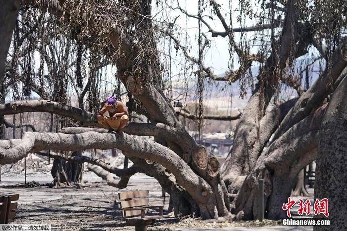 已致80人丧生！遍地残骸！幸存者曝光可怕细节