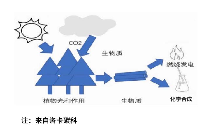 能实现碳中和的碳减排技术有哪些？