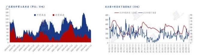 新作产量有下降风险 玉米价格强势运行