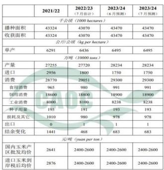 新作产量有下降风险 玉米价格强势运行