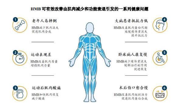 保健品原料商技源集团IPO：每年向雅培销售约亿元  报告期内重要产品毛利率现下滑