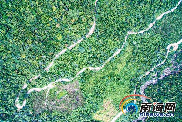 全国生态日，来看海南工程项目中的生态“微”场景