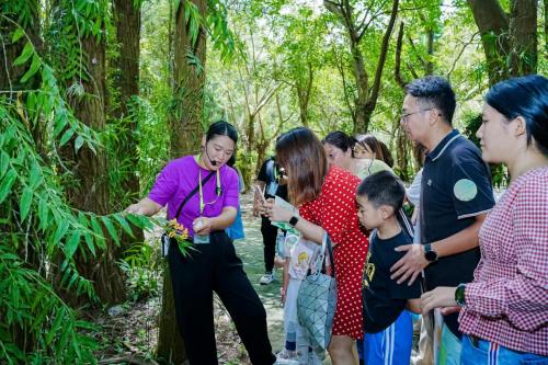 “兰科植物多样性与生活” 深圳市总工会职工文化大讲堂·馆长公开课兰科植物保护研究中心专场活动成功举办