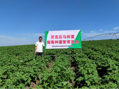 “薯”光无限 | 重庆市巫溪县奏响乡村振兴大合唱