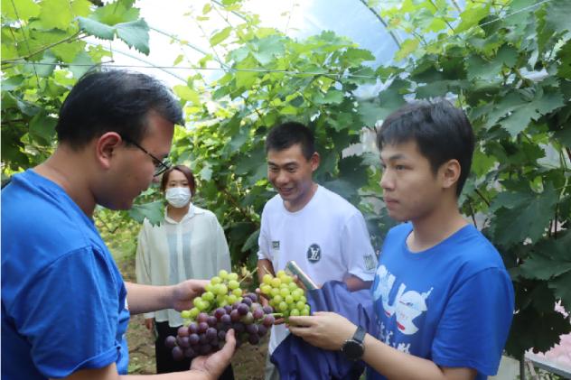 ＂乡＂约盛夏，青橙聚力正当时——中国海洋大学工程学院青橙志愿服务队暑期实践圆满结束