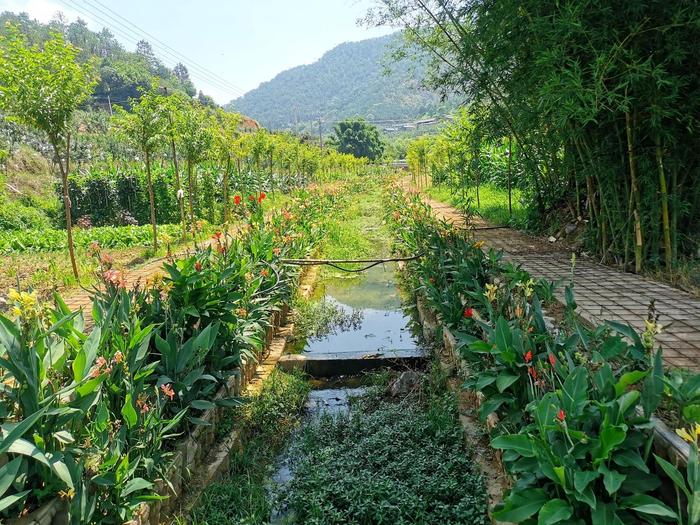 市州观察丨红旗沟里树起示范“红旗”，攀枝花积极探索小流域水土保持治理示范建设