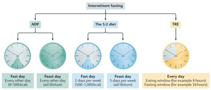 最新研究：“过午不食”才是关键，还能改善血糖