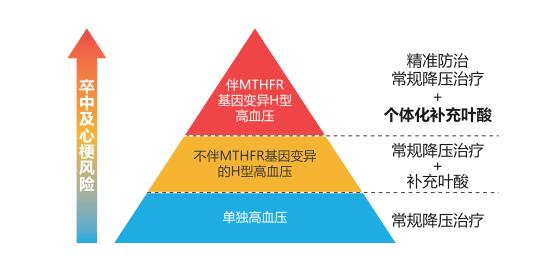 新品上市 | 凯普叶酸代谢基因检测试剂盒获批上市