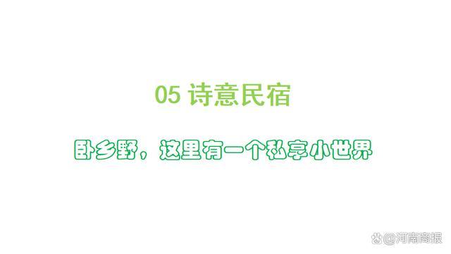 @大学生，济源“宠粉”游玩攻略来了！高校专家“踩点”推荐，闭眼入