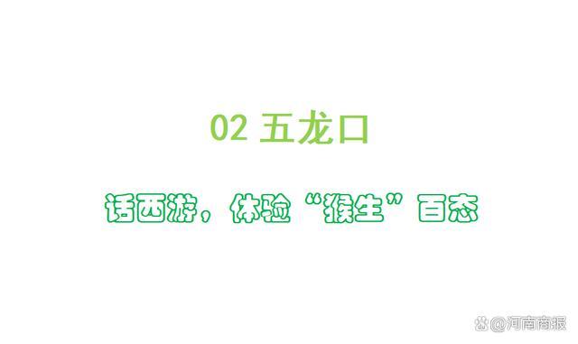 @大学生，济源“宠粉”游玩攻略来了！高校专家“踩点”推荐，闭眼入