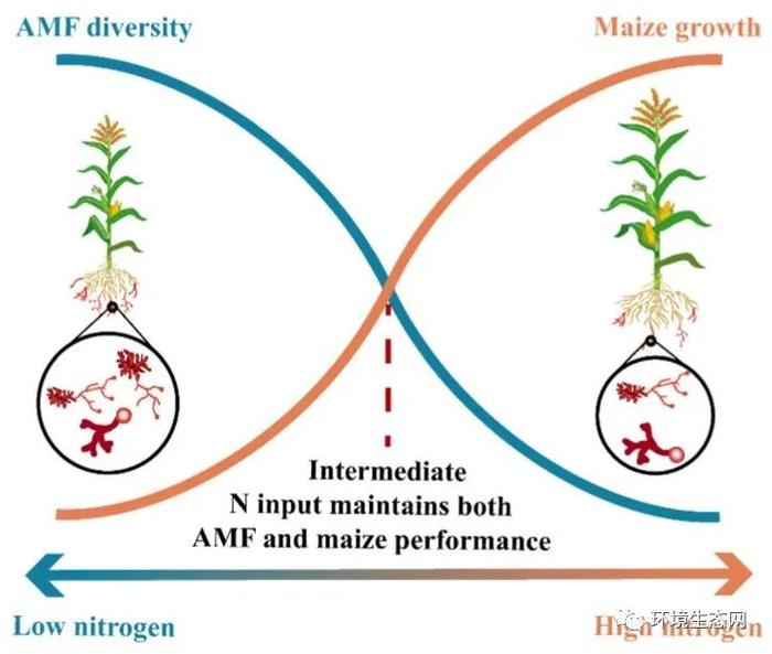 ASE | 南农土壤生态学团队：减少氮输入以优化菌根真菌多样性与作物生长之间的关系