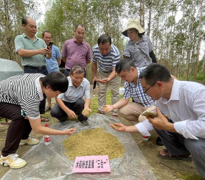 水稻粉垄直播“三合一”技术首次试验成功