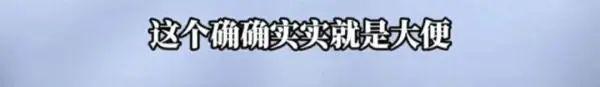 紧急闭馆！上海一游泳馆报警了，网友被恶心坏了：就这么忍不住吗？