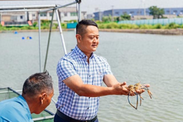 “好水养好虾，好虾卖好价”——一个“高邮大虾”产业园区的高质量发展启示