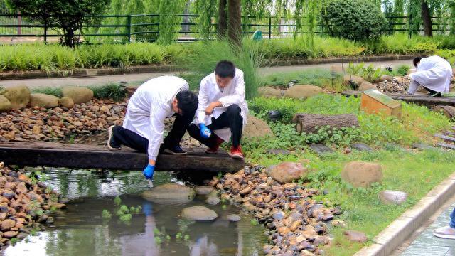 绿色校园融入“一草一木”，普陀这所学校打造特色生态实验场