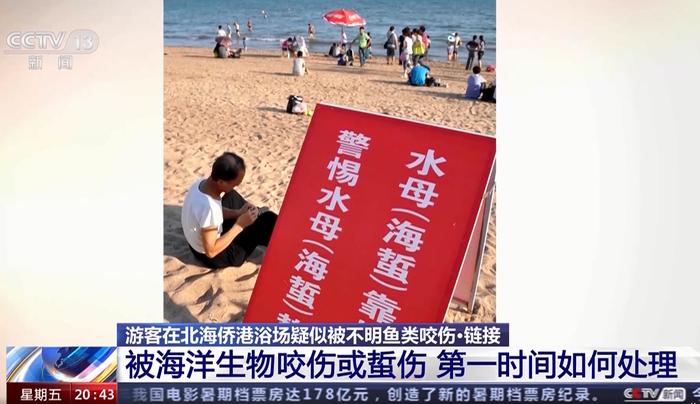 广西北海咬伤游客的不明生物是什么？被海洋生物咬伤后，第一时间该如何处理？专家解答