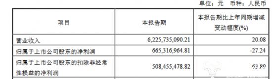 人福医药副总吴亚军年薪100.6万 因信息披露违规她被上交所公开谴责