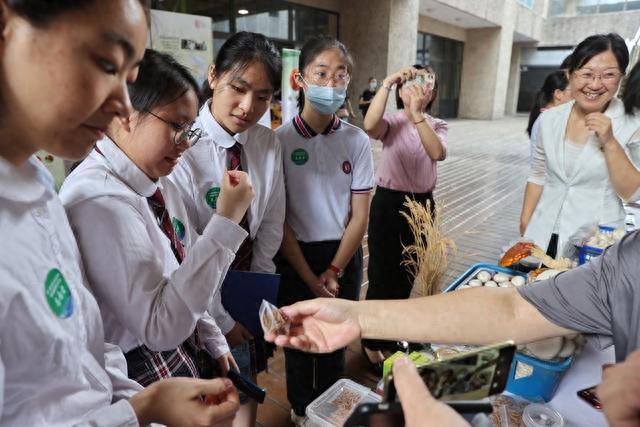 科学集市、法律辩论赛、学生建造节……暑期科普进校园丰富多彩