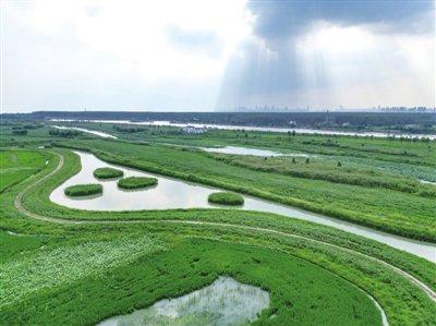 十八联圩湿地：巢湖亮出满分新名片