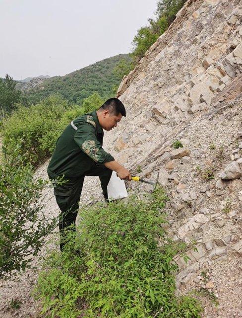 河北地质二队积极组织实施岩溶碳汇初步调查评价项目