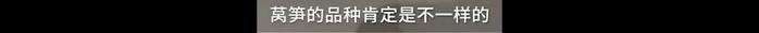 上海外滩一餐厅6片莴笋卖98元？工作人员回应！网友：没毛病