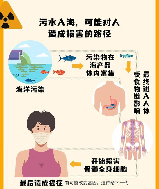 六问日本核污染水排海：何时到达中国沿海？海鲜还能吃吗？