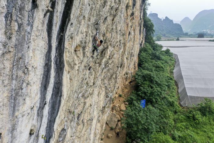 高清视频：阳朔山水攀天下 岩壁绽放爱情花