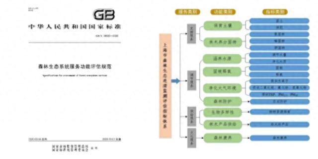 8年，上海常住人口人均森林生态福祉由486元增至708元