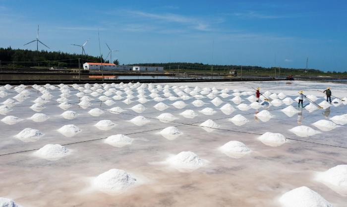 日本启动核污水排海，要“囤盐”吗？广东盐业最新回应