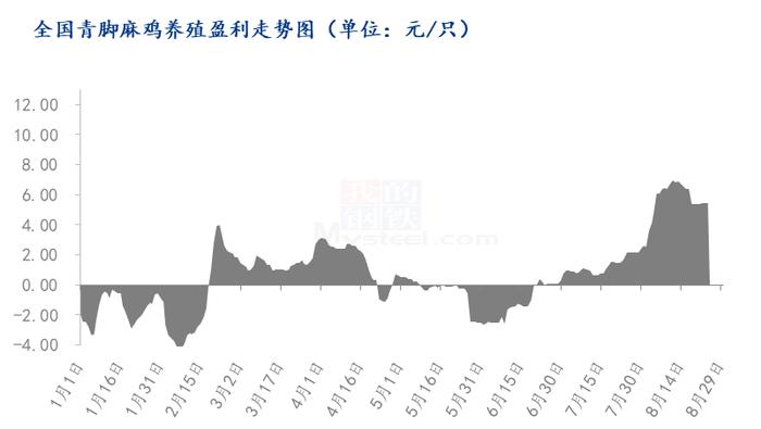 Mysteel解读：青脚麻鸡价格跌跌不休，何时迎来曙光