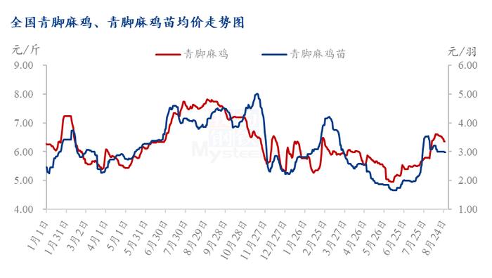 Mysteel解读：青脚麻鸡价格跌跌不休，何时迎来曙光