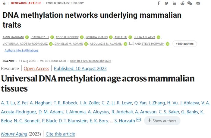 1篇Science和1篇Nature子刊揭示哺乳动物的寿命与DNA甲基化密切相关