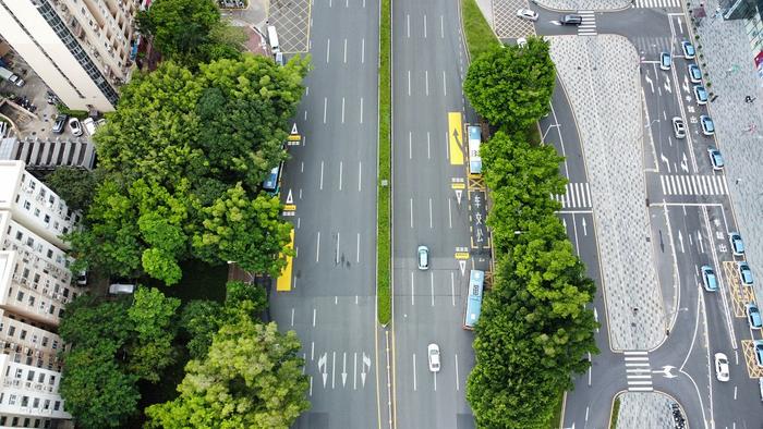 地面标识上新！深圳率先推出“公交优先出站”创新试点