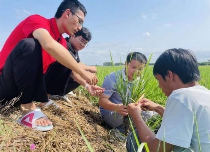 央媒看海南丨人民日报：海南大学科技小院打通产学研用的“任督二脉” ​