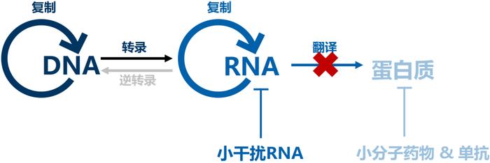 2.3万元/针的诺华长效降脂siRNA疗法在华获批上市